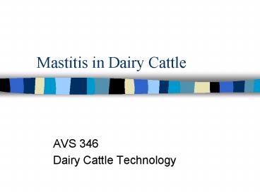 Mastitis in Dairy Cattle