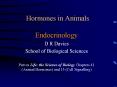 Hormones in Animals PowerPoint PPT Presentation