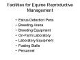 Facilities for Equine Reproductive Management PowerPoint PPT Presentation