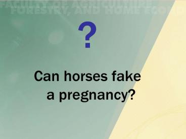 Can Horses Fake a Pregnancy