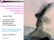 Collective dynamics of polar and apolar  self-propelled particles