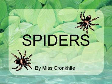 SPIDERS