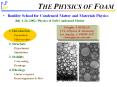 THE PHYSICS OF FOAM PowerPoint PPT Presentation
