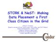 STORK PowerPoint PPT Presentation