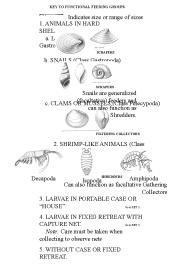 Facultative Feeding Groups