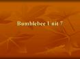 Bumblebee Unit 7 PowerPoint PPT Presentation