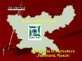 Directorate of Agriculture Jharkhand, Ranchi PowerPoint PPT Presentation