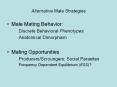 Alternative Male Strategies PowerPoint PPT Presentation