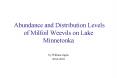 Abundance and Distribution Levels of Milfoil Weevils on Lake Minnetonka PowerPoint PPT Presentation