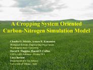 A Cropping System Oriented CarbonNitrogen Simulation Model
