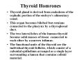 Thyroid Homrones PowerPoint PPT Presentation