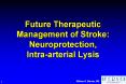 Future Therapeutic Management of Stroke: Neuroprotection, Intra-arterial Lysis PowerPoint PPT Presentation