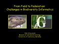 From Field to Federation: PowerPoint PPT Presentation