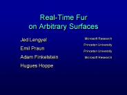 Real-Time Fur on Arbitrary Surfaces