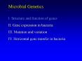 Microbial Genetics PowerPoint PPT Presentation