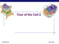 Tour of the Cell 2 PowerPoint PPT Presentation