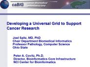 caBIG Pilot Project Selection Process