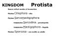 KINGDOM Protista PowerPoint PPT Presentation