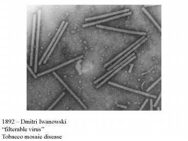 1892 Dmitri Iwanowski