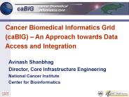 caBIG Pilot Project Selection Process