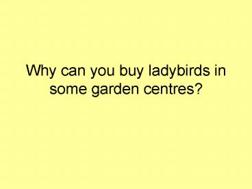 Why can you buy ladybirds in some garden centres
