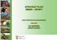 STRATEGY PLAN  2008/9  PowerPoint PPT Presentation