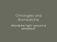 Ontologies and Biomedicine PowerPoint PPT Presentation
