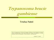 Trypanosoma brucie gambiense