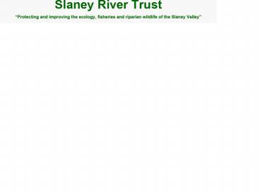 RIVER SLANEY: Potential for Sea Trout Development