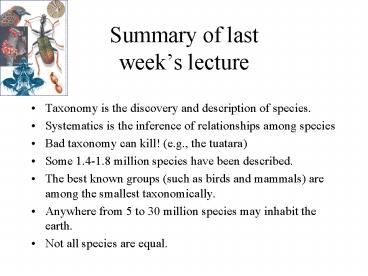 Summary of last weeks lecture