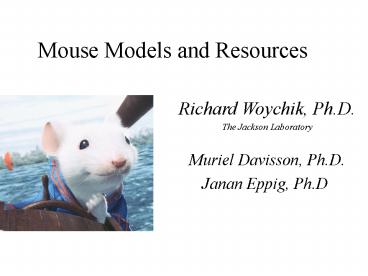 PPT – Mouse Models and Resources PowerPoint presentation | free to view ...