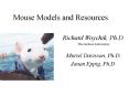 Mouse Models and Resources PowerPoint PPT Presentation