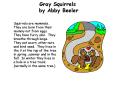 Gray Squirrels by Abby Beeler PowerPoint PPT Presentation