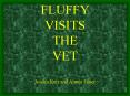 FLUFFY VISITS THE VET Jessica Kerr and Aimee Faner PowerPoint PPT Presentation