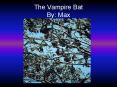 The Vampire Bat By: Max PowerPoint PPT Presentation