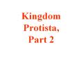 Kingdom%20Protista,%20Part%202 PowerPoint PPT Presentation