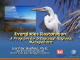 Everglades Restoration A Program for Integrated Regional Management PowerPoint PPT Presentation