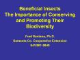 Beneficial Insects The Importance of Conserving and Promoting Their Biodiversity PowerPoint PPT Presentation
