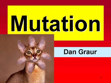 Mutation