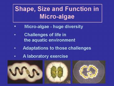 presentation player overlay