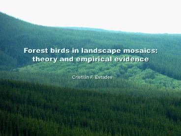 Forest birds in landscape mosaics: