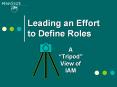 Leading an Effort to Define Roles PowerPoint PPT Presentation