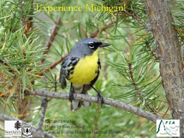Experience Michigan!