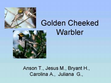 Anson T', Jesus M', Bryant H', Carolina A', Juliana G',