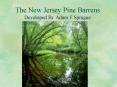 The New Jersey Pine Barrens PowerPoint PPT Presentation