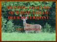 HUNTING ANALYSIS OF WHITETAILED DEER IN VERMONT PowerPoint PPT Presentation