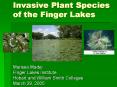 Invasive Plant Species of the Finger Lakes PowerPoint PPT Presentation