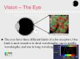 The eyes have three different kinds of color receptors; One kind is most sensitive to short wavelengths, one to middle wavelengths, and one to long wavelengths PowerPoint PPT Presentation