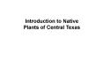 Introduction to Native Plants of Central Texas PowerPoint PPT Presentation
