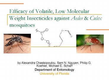 Efficacy of Volatile, Low Molecular Weight Insecticides against Aedes